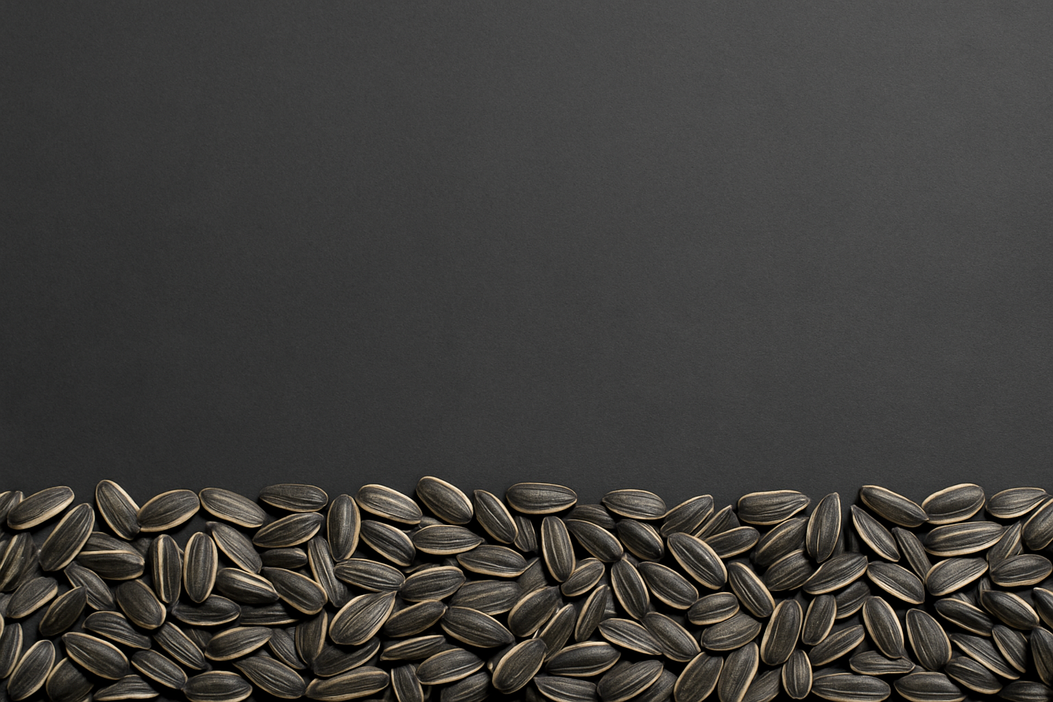 Large Sunflower Seeds with Gray Background